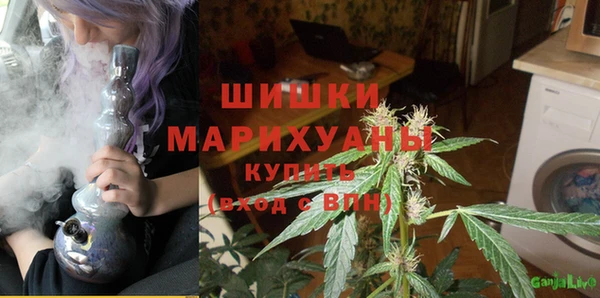 спайс Надым