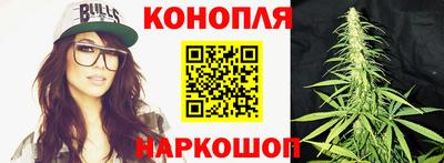 ешки Бийск