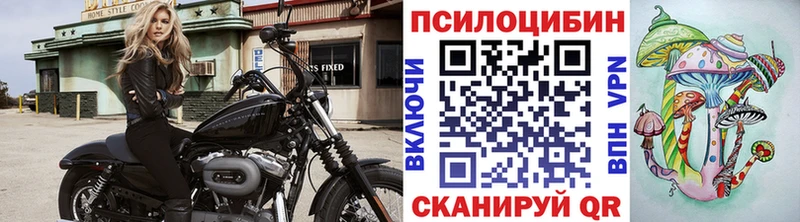 Галлюциногенные грибы ЛСД Зеленодольск