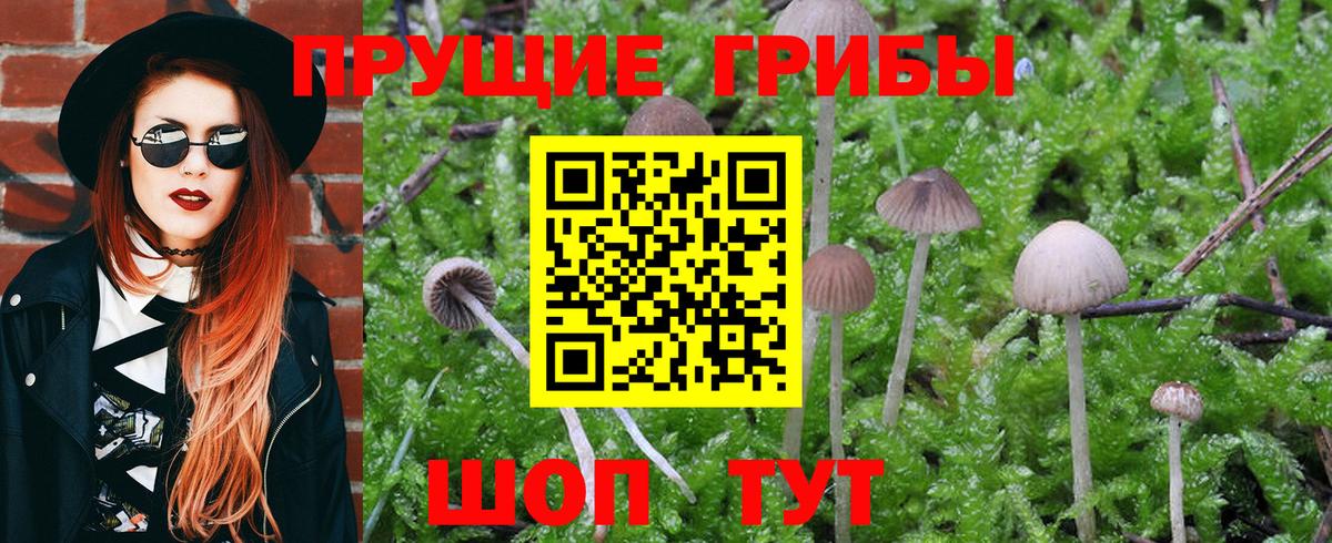 Псилоцибиновые грибы Magic Shrooms Зеленодольск