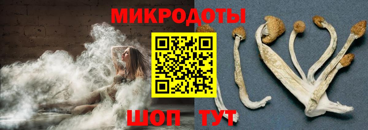 Псилоцибиновые грибы Magic Shrooms  Зеленодольск 